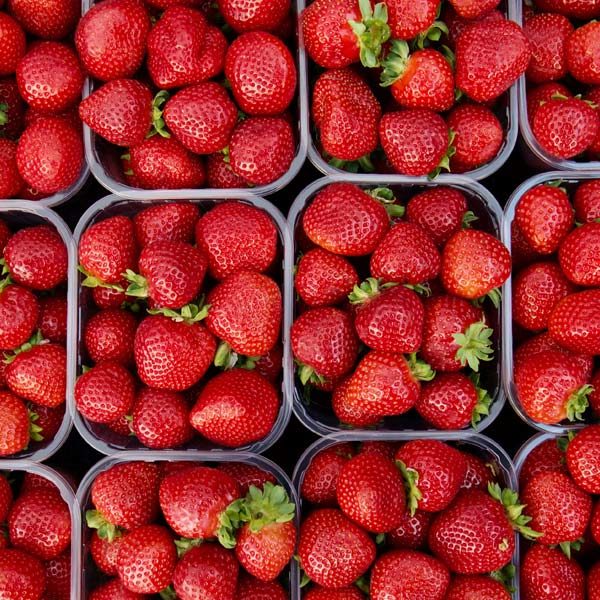 Fragole | Mercato Contadino