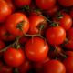 Pomodori | Mercato Contadino