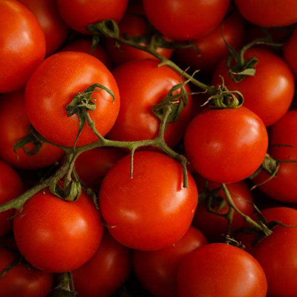 Pomodori